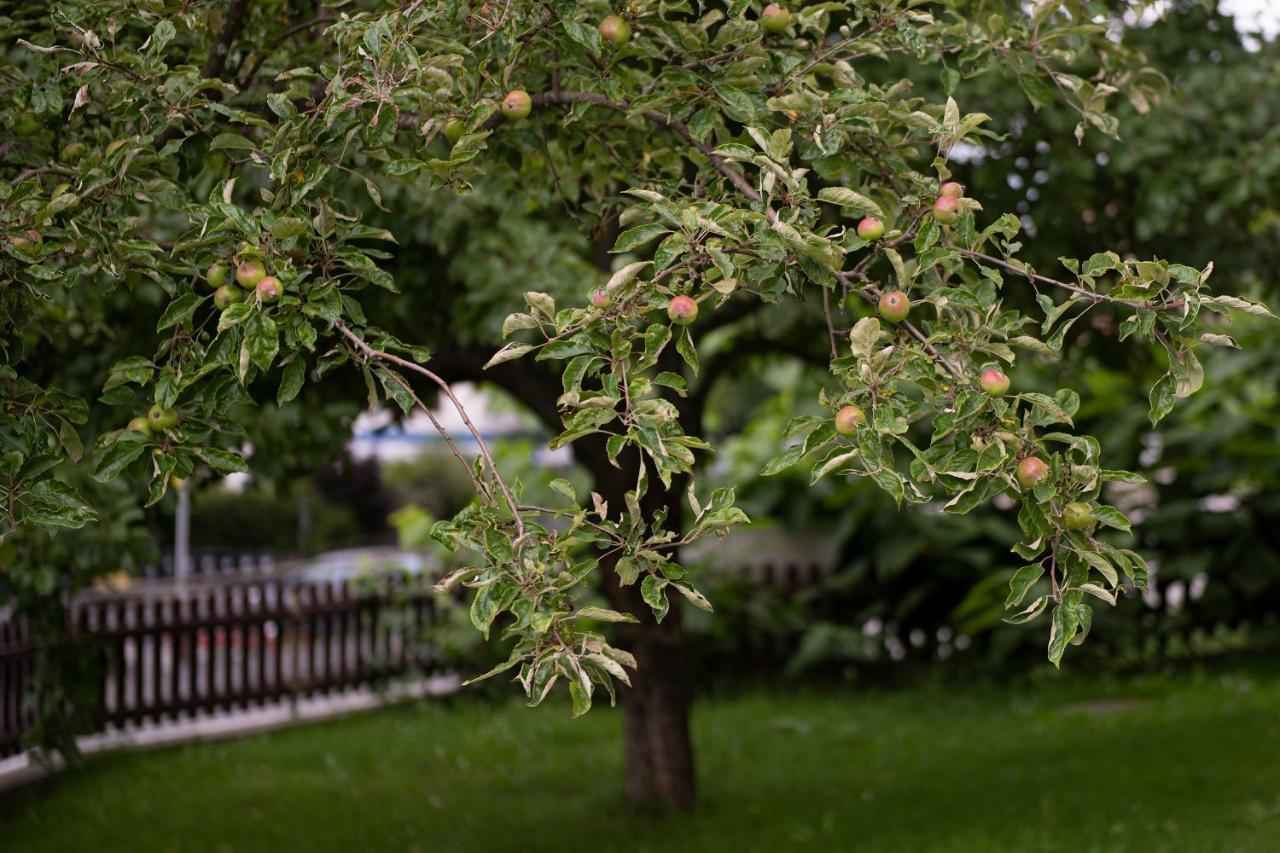 Zu Hause Im Schoenen Tirol Βίλα Kirchbichl Εξωτερικό φωτογραφία